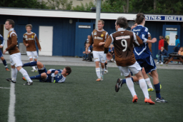 vvileidsvЖg2012 048